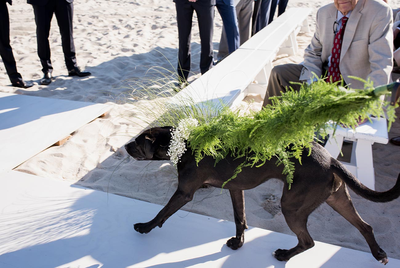 Hamptons Wedding | Sperry Tents | Cappy Hotchkiss Photography